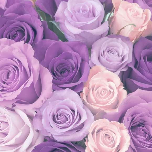 Meet your Posher, Nana - Picture 3 of 3